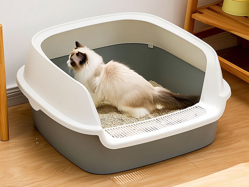 大號貓砂盆注塑 大號貓砂盆注塑