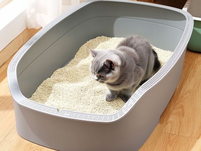 大號貓砂盆注塑 大號貓砂盆注塑